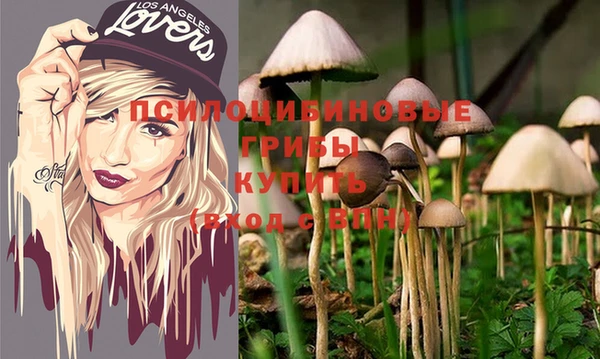 твердый Приозерск