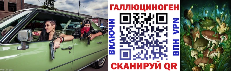 дарнет шоп  Краснотурьинск  Псилоцибиновые грибы Cubensis 