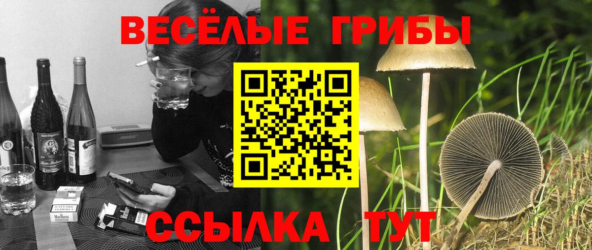 Краснотурьинск  Галлюциногенные грибы Magic Shrooms  Вход с VPN 
